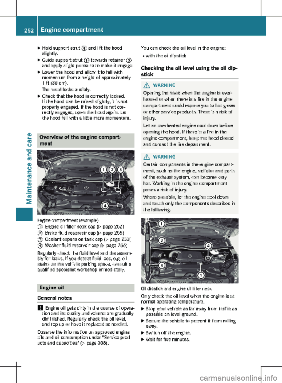 MERCEDES-BENZ METRIS 2020  MY20 Operator’s Manual X
Hold support strut ? and lift the hood
slightly.
X Guide support strut  ? towards retainer =
and apply slight pressure to make it engage.
X Lower the hood and allow it to fall with
momentum from a h