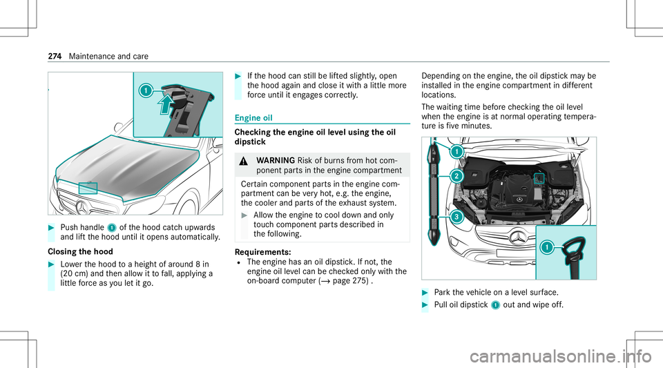 MERCEDES-BENZ GLC COUPE 2021 Owners Manual #
Push handle 1ofthehood catchupw ards
and liftth ehood untilitopens automaticall y.
Closing thehood #
Lowe rth ehood toaheigh tof aroun d8 in
(20 cm)and then allo witto fall, appl ying a
litt leforc MERCEDES-BENZ GLC COUPE 2021 Owners Manual #
Push handle 1ofthehood catchupw ards
and liftth ehood untilitopens automaticall y.
Closing thehood #
Lowe rth ehood toaheigh tof aroun d8 in
(20 cm)and then allo witto fall, appl ying a
litt leforc