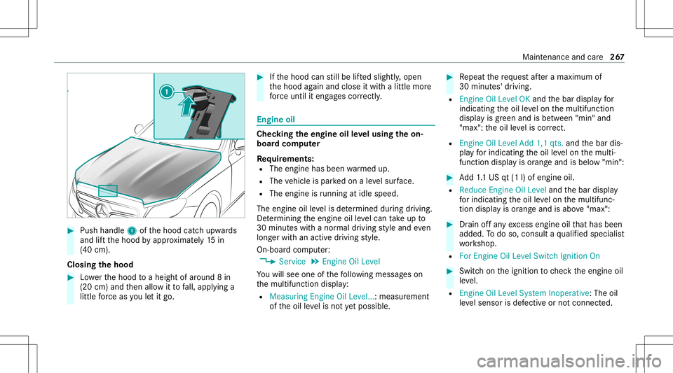 MERCEDES-BENZ E-CLASS CABRIOLET 2021 Owners Manual #
Push handle 1ofthehood catchupw ards
and liftth ehood byappr oximat ely15 in
(40 cm).
Closing thehood #
Lowe rth ehood toaheigh tof aroun d8 in
(20 cm)and then allo witto fall, appl ying a
litt lefo MERCEDES-BENZ E-CLASS CABRIOLET 2021 Owners Manual #
Push handle 1ofthehood catchupw ards
and liftth ehood byappr oximat ely15 in
(40 cm).
Closing thehood #
Lowe rth ehood toaheigh tof aroun d8 in
(20 cm)and then allo witto fall, appl ying a
litt lefo