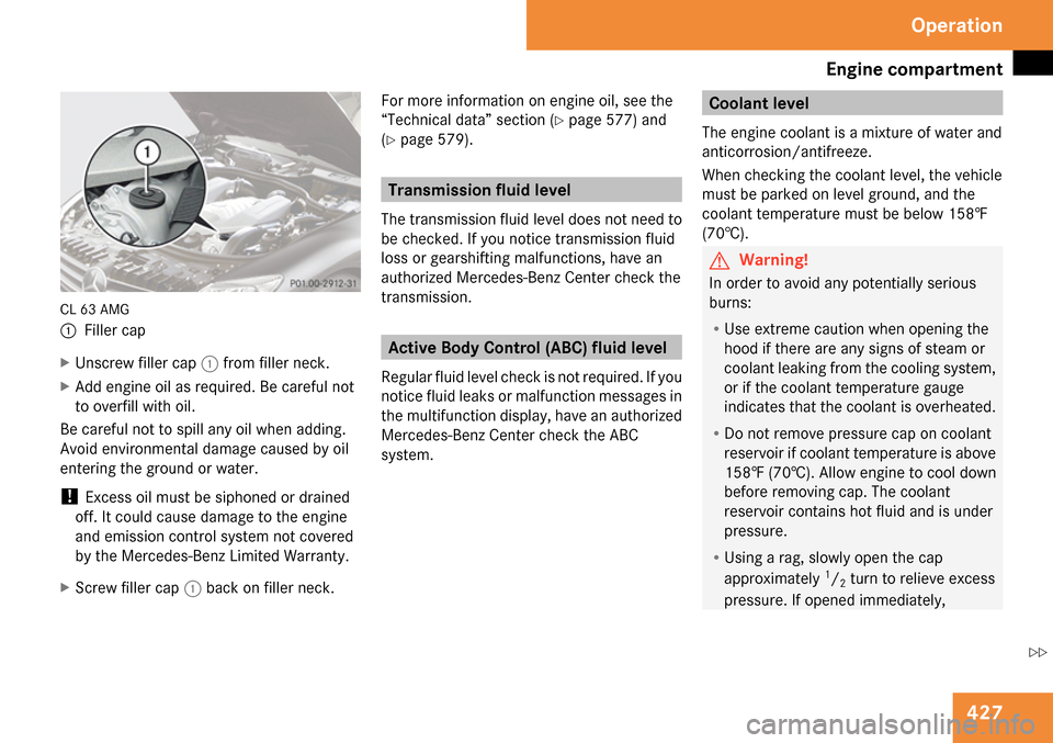 MERCEDES-BENZ CL550 2009 C216 Owners Manual 