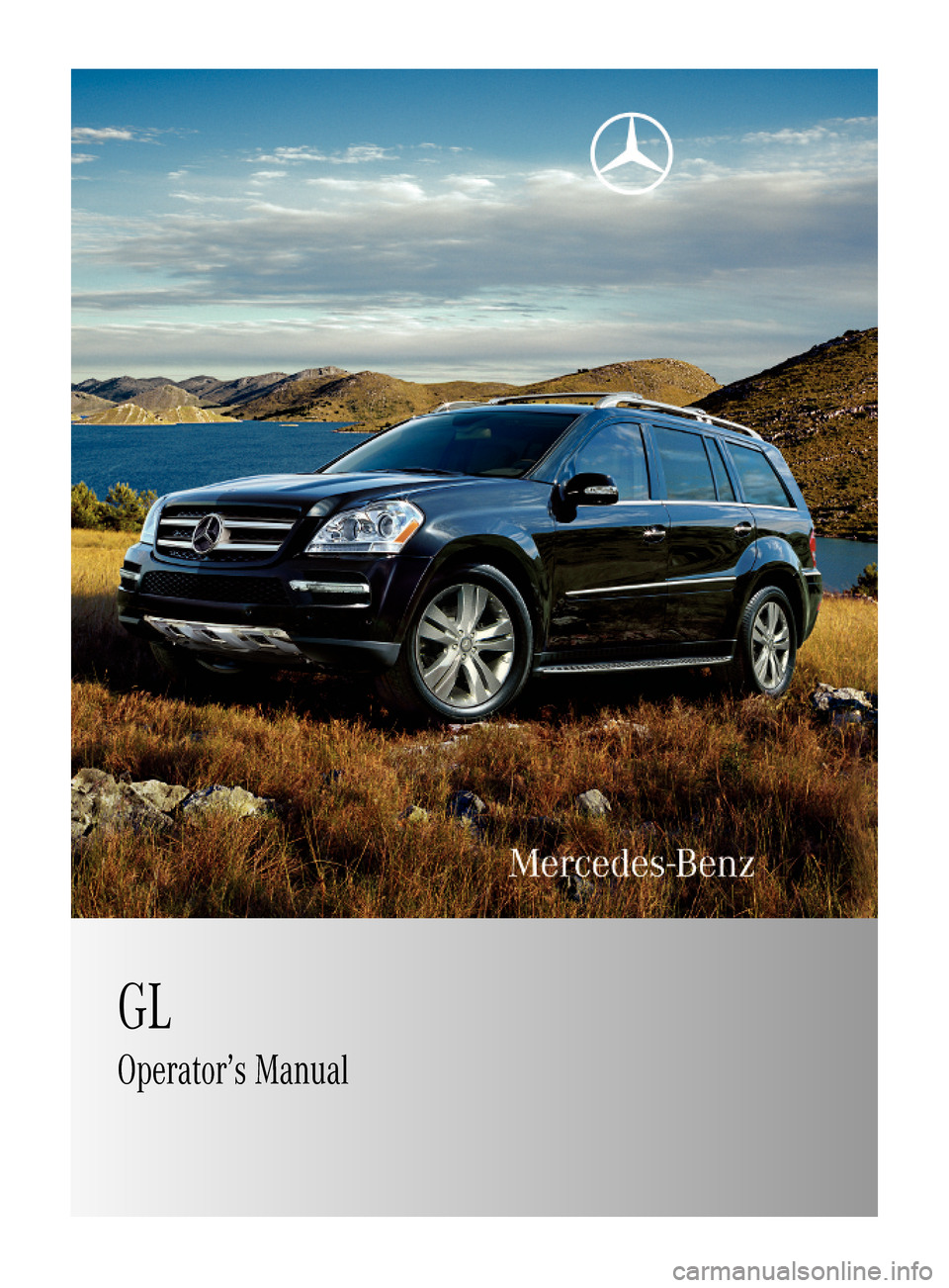 MERCEDES-BENZ GL450 2010 X164 Owners Manual 