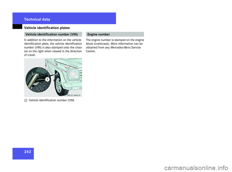 MERCEDES-BENZ G-CLASS SUV 2008  Owners Manual Vehicle identification plates
262 Vehicle identification number (VIN)
In addition to the information on the vehicle
identification plate, the vehicle identification
number (VIN) is also stamped onto t