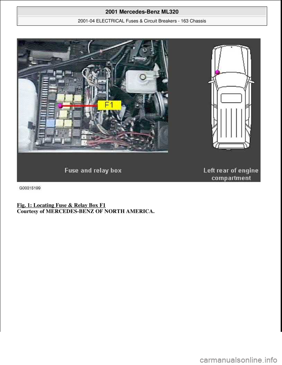 MERCEDES-BENZ ML430 1997  Complete Repair Manual Fig. 1: Locating Fuse & Relay Box F1 
Courtesy of MERCEDES-BENZ OF NORTH AMERICA.
 
2001 Mercedes-Benz ML320 
2001-04 ELECTRICAL Fuses & Circuit Breakers - 163 Chassis  
me  
Saturday, October 02, 201