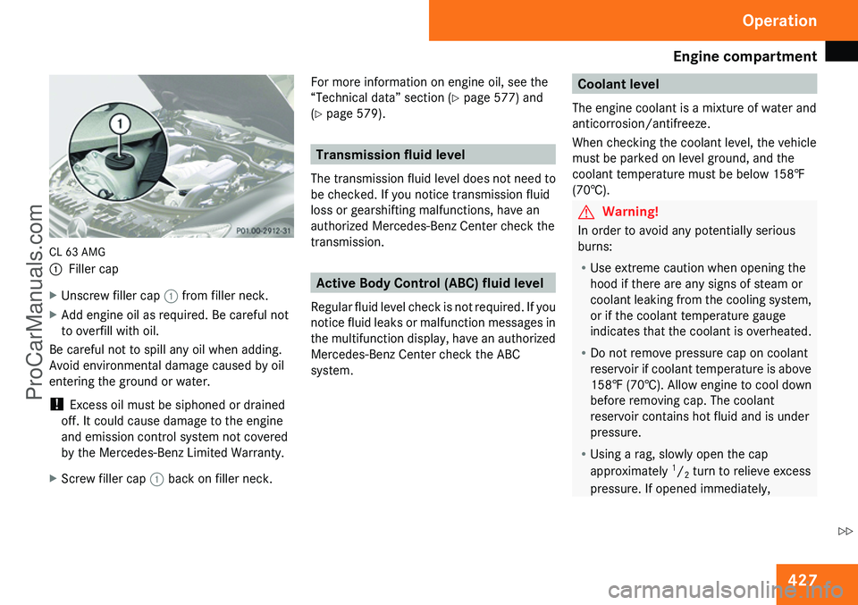 MERCEDES-BENZ CL-CLASS 2009  Owners Manual ProCarManuals.com 