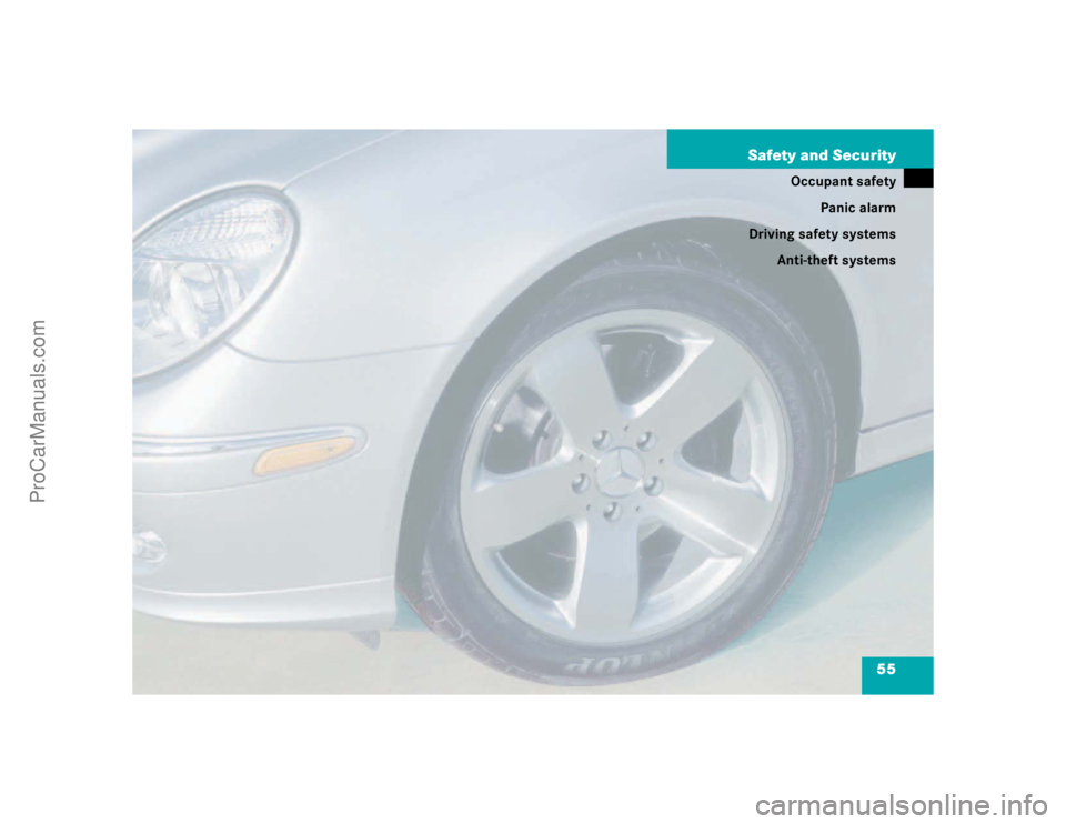 MERCEDES-BENZ E-CLASS 2003 Workshop Manual 55 Safety and Security
Occupant safety
Panic alarm
Driving safety systems
Anti-theft systems
ProCarManuals.com 