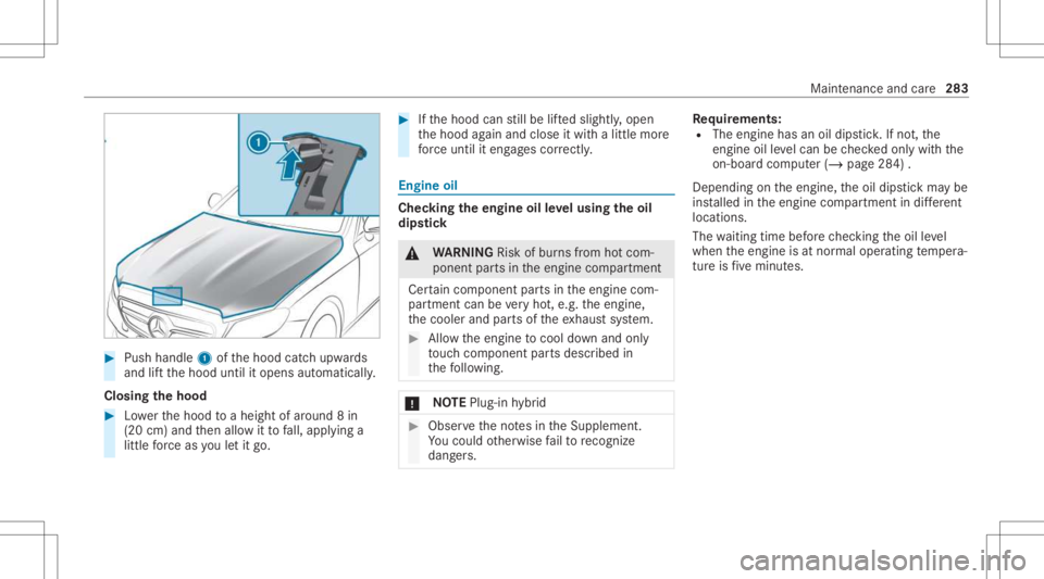 MERCEDES-BENZ GLC 2021 Owners Manual #
Push handle 1ofthehood catchupw ards
and liftth ehood untilitopens automaticall y.
Closing thehood #
Lowe rth ehood toaheigh tof aroun d8 in
(20 cm)and then allo witto fall, appl ying a
litt leforc MERCEDES-BENZ GLC 2021 Owners Manual #
Push handle 1ofthehood catchupw ards
and liftth ehood untilitopens automaticall y.
Closing thehood #
Lowe rth ehood toaheigh tof aroun d8 in
(20 cm)and then allo witto fall, appl ying a
litt leforc