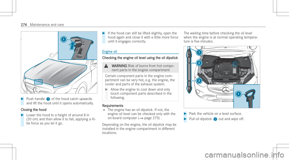 MERCEDES-BENZ GLC COUPE 2023  Owners Manual #
Push handle 1ofthehood catchupw ards
and liTthehood untilitopens automaticall y.
Closing t Closing
the hood he
hood #
Lowe rth ehood toaheig htofaroun d8 in
(20 cm) andthen allo witto fall, appl yi