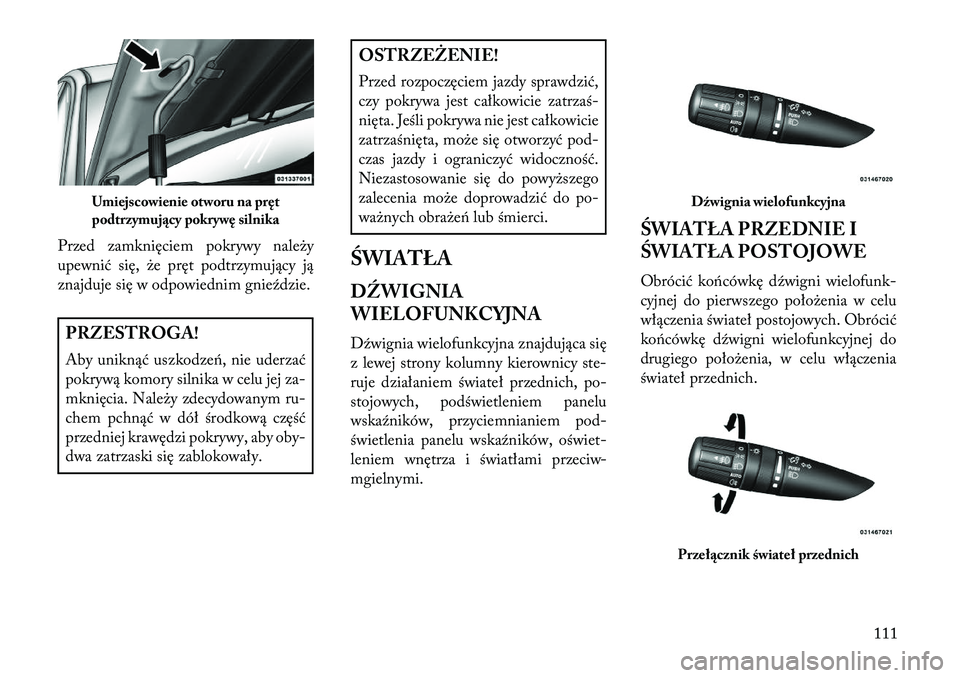 Lancia Flavia 2013 Instrukcja obsługi (in Polish) Przed zamknięciem pokrywy należy
upewnić się, że pręt podtrzymujący ją
znajduje się w odpowiednim gnie\fdzie.PRZESTROGA!
Aby uniknąć uszkodzeń, nie uderzać
pokrywą komory silnika w celu Lancia Flavia 2013 Instrukcja obsługi (in Polish) Przed zamknięciem pokrywy należy
upewnić się, że pręt podtrzymujący ją
znajduje się w odpowiednim gnie\fdzie.PRZESTROGA!
Aby uniknąć uszkodzeń, nie uderzać
pokrywą komory silnika w celu