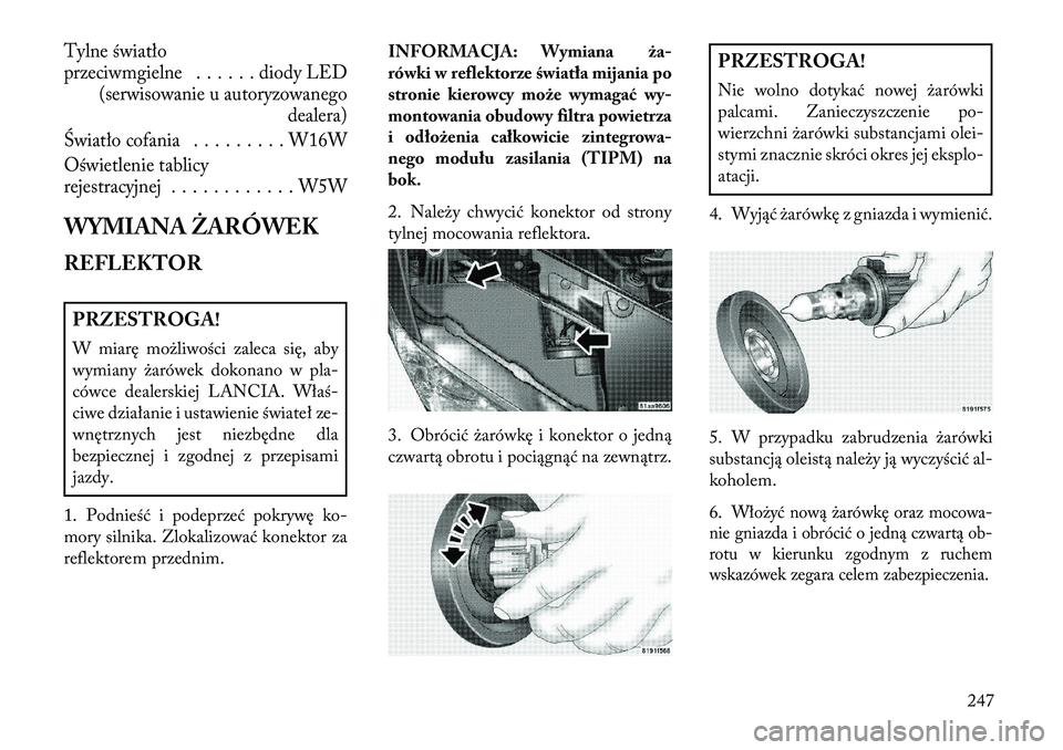 Lancia Flavia 2013 Instrukcja obsługi (in Polish) Tylne światło
przeciwmgielne . . . . . . diody LED(serwisowanie u autoryzowanego
dealera)
Światło cofania . . . . . . . . . W16W
Oświetlenie tablicy
rejestracyjnej . . . . . . . . . . . . W5WWYMI Lancia Flavia 2013 Instrukcja obsługi (in Polish) Tylne światło
przeciwmgielne . . . . . . diody LED(serwisowanie u autoryzowanego
dealera)
Światło cofania . . . . . . . . . W16W
Oświetlenie tablicy
rejestracyjnej . . . . . . . . . . . . W5WWYMI