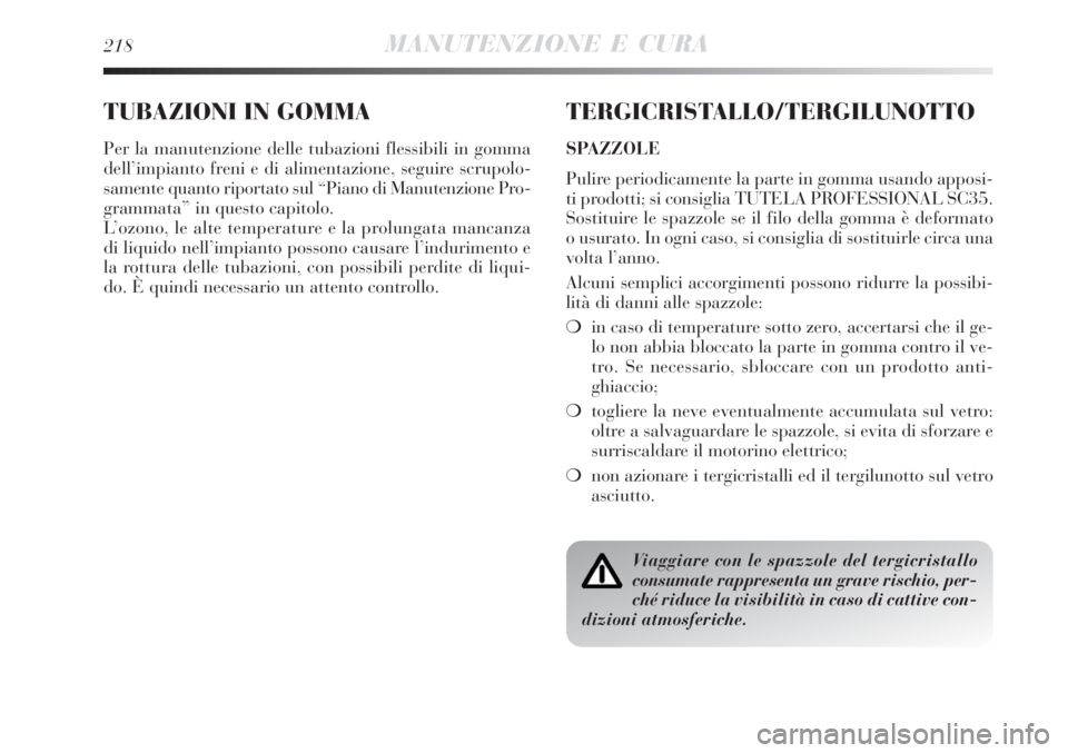 Lancia Delta 2008  Libretto Uso Manutenzione (in Italian) 218MANUTENZIONE E CURA
TUBAZIONI IN GOMMA
Per la manutenzione delle tubazioni flessibili in gomma
dell’impianto freni e di alimentazione, seguire scrupolo-
samente quanto riportato sul “Piano di M