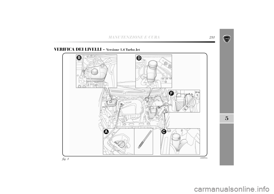 Lancia Delta 2011  Libretto Uso Manutenzione (in Italian) MANUTENZIONE E CURA
231
5
VERIFICA DEI LIVELLI - 
Versione 1.4 Turbo Jet
fig. 1
L0E0092m 