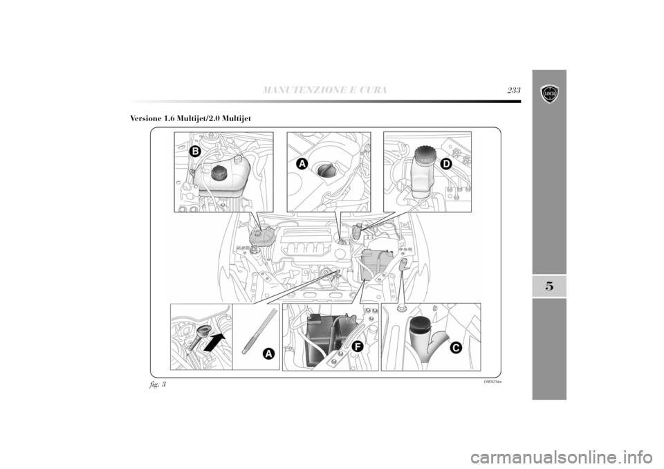 Lancia Delta 2011  Libretto Uso Manutenzione (in Italian) MANUTENZIONE E CURA
233
5
Versione 1.6 Multijet/2.0 Multijet
fig. 3
L0E0254m 