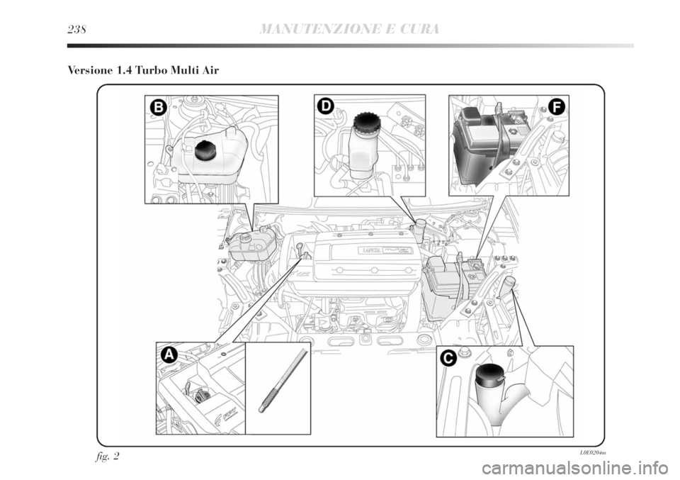 Lancia Delta 2013  Libretto Uso Manutenzione (in Italian) 238MANUTENZIONE E CURA
Versione 1.4 Turbo Multi Air
fig. 2L0E0204m 