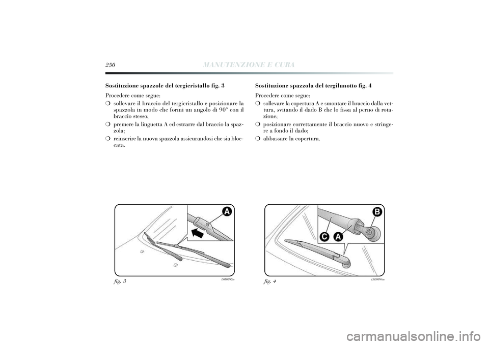 Lancia Delta 2014 Libretto Uso Manutenzione (in Italian) 250
MANUTENZIONE E CURA
Sostituzione spazzole del tergicristallo fig. 3
Procedere come segue:
❍sollevare il bracci o del tergi cristallo e posi zionare la
spazzola in modo che formi un angolo di Lancia Delta 2014 Libretto Uso Manutenzione (in Italian) 250
MANUTENZIONE E CURA
Sostituzione spazzole del tergicristallo fig. 3
Procedere come segue:
❍sollevare il bracci o del tergi cristallo e posi zionare la
spazzola in modo che formi un angolo di