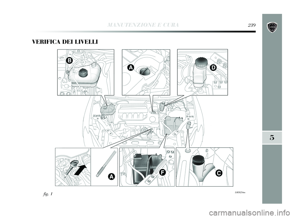 Lancia Delta 2015  Libretto Uso Manutenzione (in Italian) VERIFICA DEI LIVELLI 
fig. 1L0E0254m
5
MANUTENZIONE E CURA239
233-256 Delta IT 1ed  03/04/14  09:24  Pagina 239 