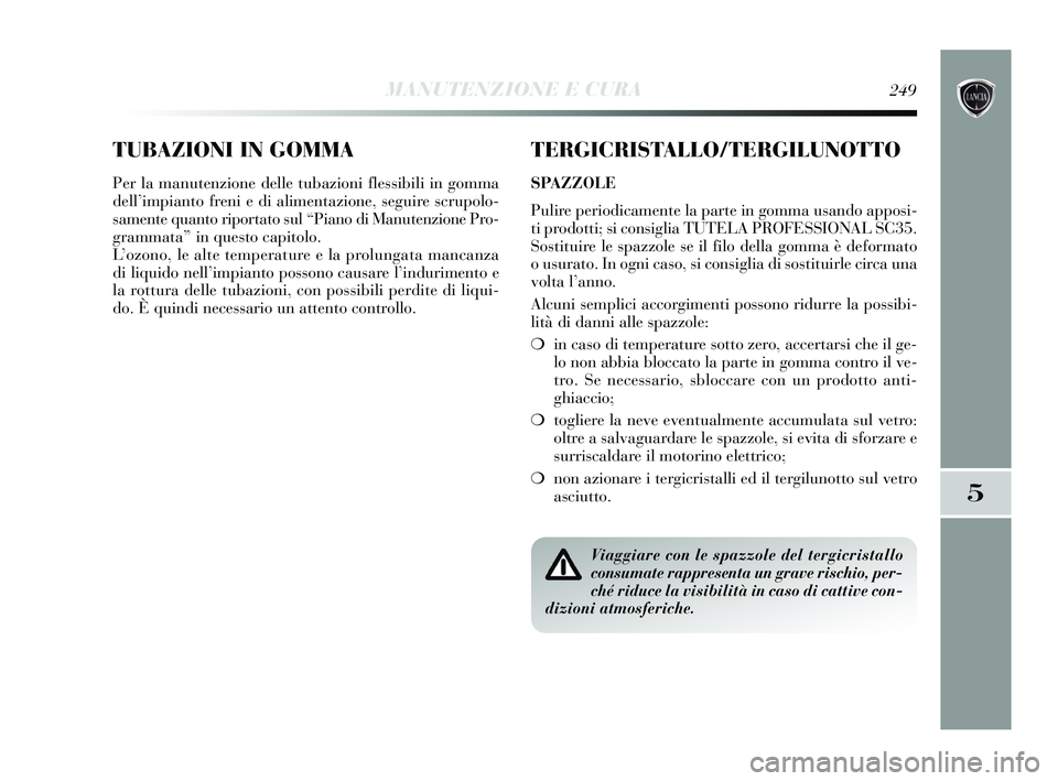 Lancia Delta 2015  Libretto Uso Manutenzione (in Italian) TUBAZIONI IN GOMMA
Per la manutenzione delle tubazioni flessibili in gomma
dell’impianto freni e di alimentazione, seguire scrupolo-
samente quanto riportato sul “Piano di Manutenzione Pro-
gramma