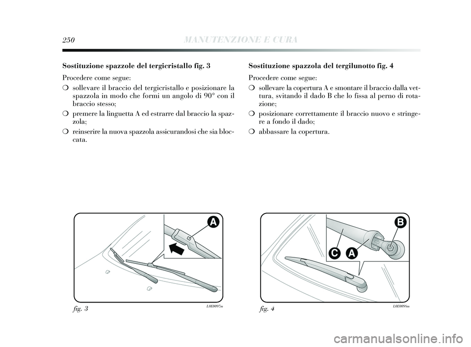 Lancia Delta 2015  Libretto Uso Manutenzione (in Italian) 250MANUTENZIONE E CURA
Sostituzione spazzole del tergicristallo fig. 3
Procedere come segue:
❍sollevare il braccio del tergicristallo e posizionare la
spazzola in modo che formi un angolo di 90° co