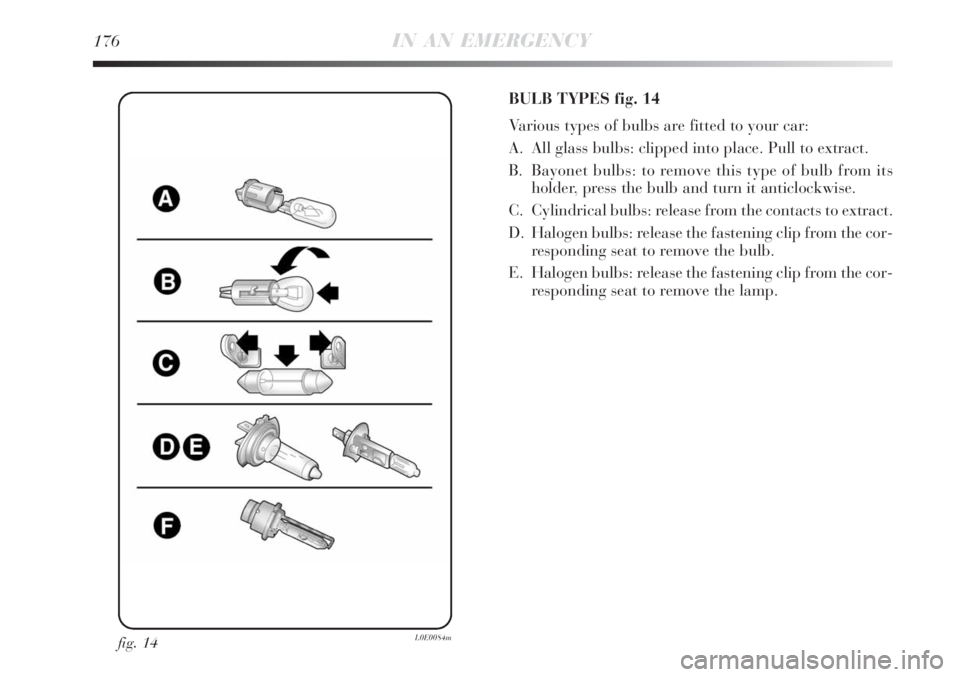 Lancia Delta 2009  Owner handbook (in English) 176IN AN EMERGENCY
fig. 14L0E0084m
BULB TYPES fig. 14
Various types of bulbs are fitted to your car:
A. All glass bulbs: clipped into place. Pull to extract.
B. Bayonet bulbs: to remove this type of b