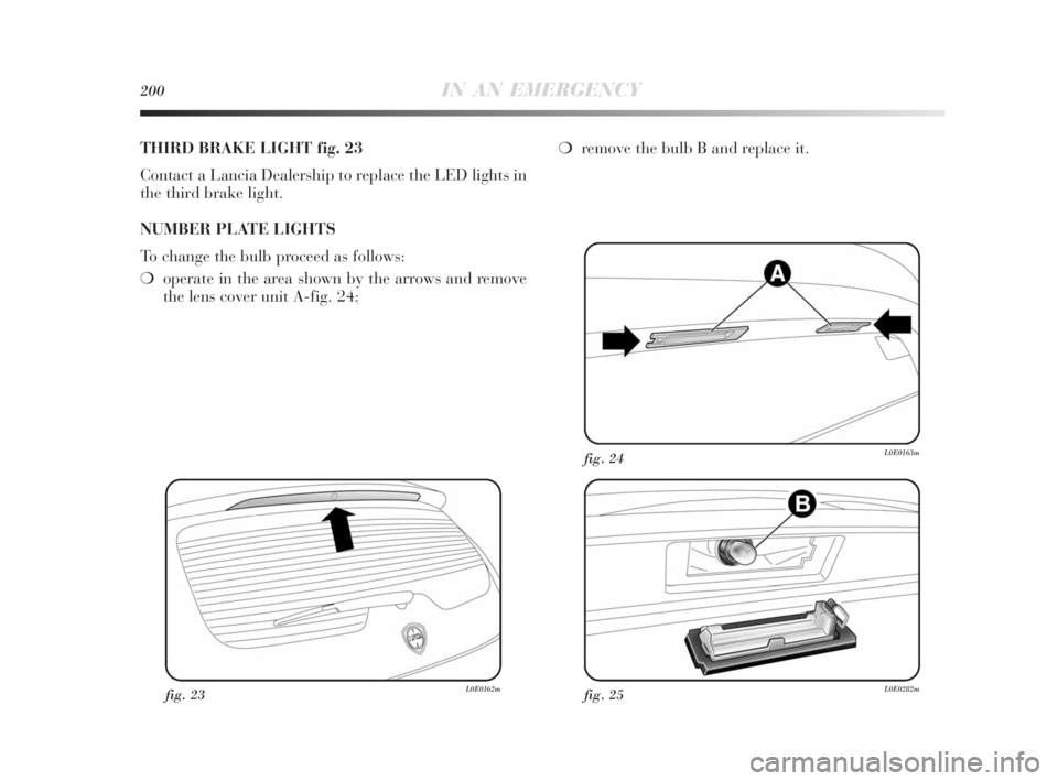 Lancia Delta 2010  Owner handbook (in English) 200IN AN EMERGENCY
THIRD BRAKE LIGHT fig. 23
Contact a Lancia Dealership to replace the LED lights in
the third brake light. 
NUMBER PLATE LIGHTS
To change the bulb proceed as follows:
❍operate in t