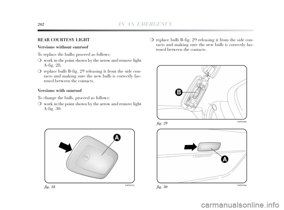Lancia Delta 2010  Owner handbook (in English) 202IN AN EMERGENCY
fig. 28L0E0167mfig. 30L0E0169m
fig. 29L0E0168m
REAR COURTESY LIGHT
Versions without sunroof
To replace the bulbs proceed as follows:
❍work in the point shown by the arrow and remo
