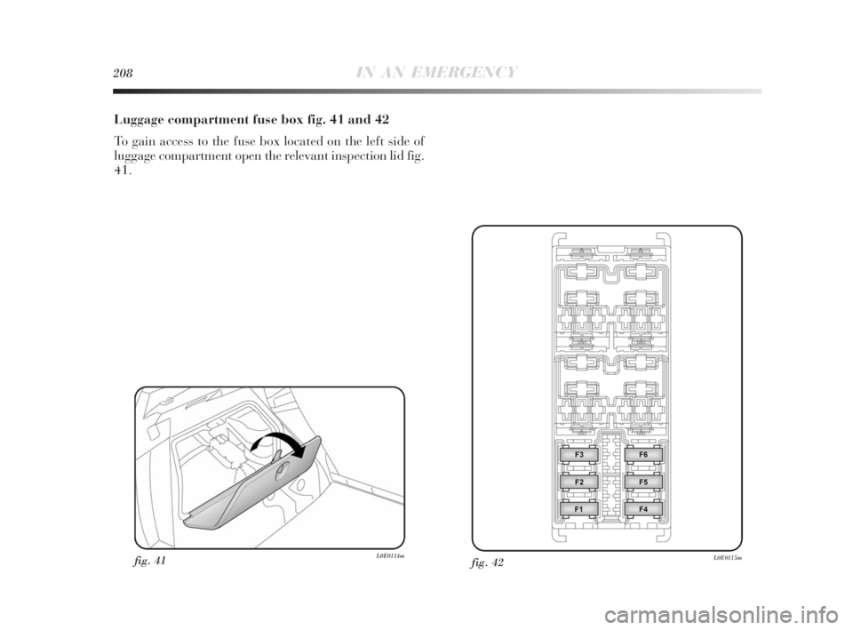 Lancia Delta 2010  Owner handbook (in English) 208IN AN EMERGENCY
Luggage compartment fuse box fig. 41 and 42
To gain access to the fuse box located on the left side of
luggage compartment open the relevant inspection lid fig.
41.
fig. 42L0E0115mf