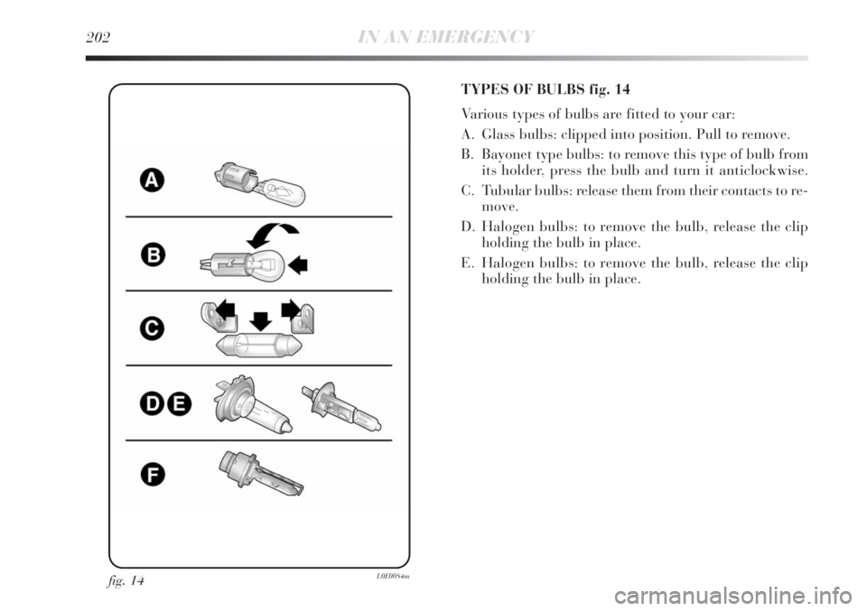 Lancia Delta 2011  Owner handbook (in English) 202IN AN EMERGENCY
fig. 14L0E0084m
TYPES OF BULBS fig. 14
Various types of bulbs are fitted to your car:
A. Glass bulbs: clipped into position. Pull to remove.
B. Bayonet type bulbs: to remove this ty