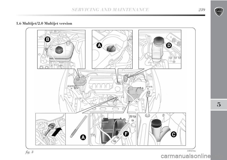 Lancia Delta 2012 Owner handbook (in English) SERVICING AND MAINTENANCE239
5
1.6 Multijet/2.0 Multijet version
fig. 3L0E0254m Lancia Delta 2012 Owner handbook (in English) SERVICING AND MAINTENANCE239
5
1.6 Multijet/2.0 Multijet version
fig. 3L0E0254m