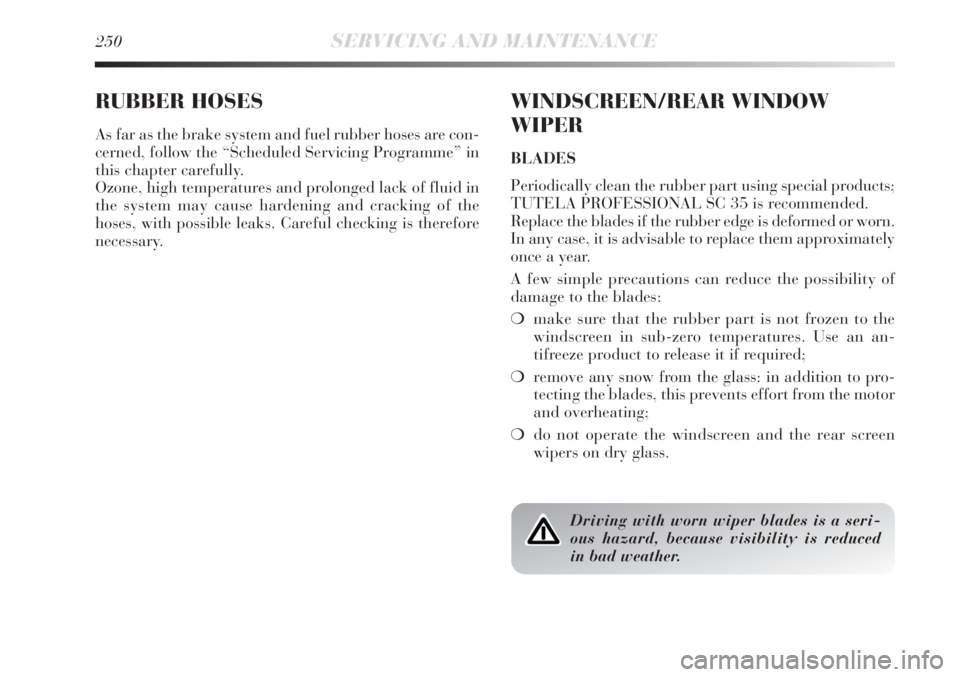 Lancia Delta 2012  Owner handbook (in English) 250SERVICING AND MAINTENANCE
RUBBER HOSES
As far as the brake system and fuel rubber hoses are con-
cerned, follow the “Scheduled Servicing Programme” in
this chapter carefully.
Ozone, high temper