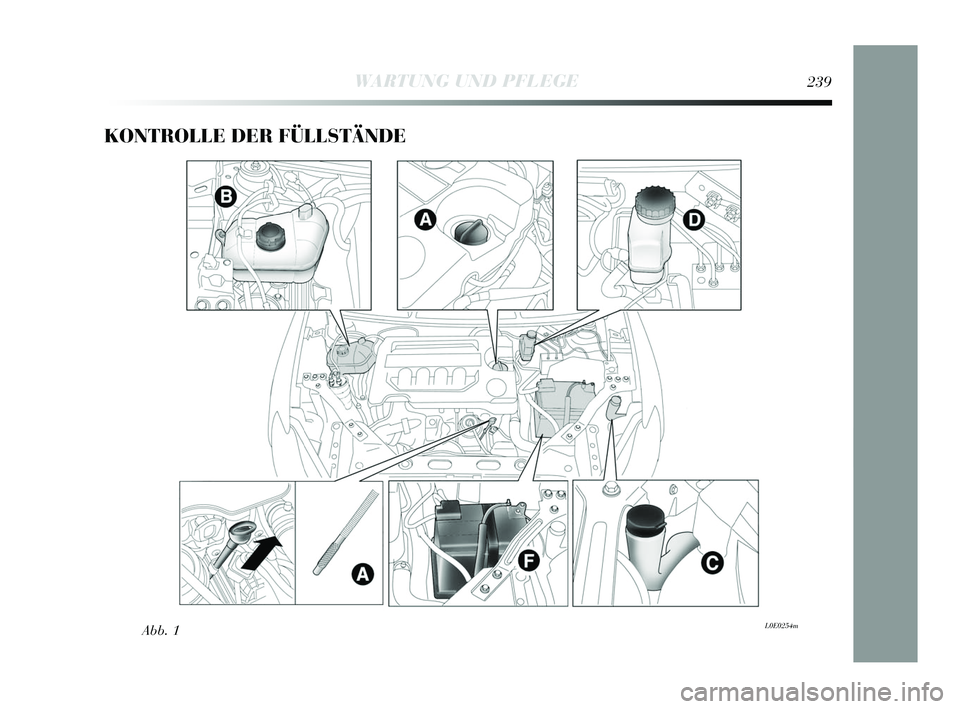 Lancia Delta 2015 Betriebsanleitung (in German) KONTROLLE DER FÜLLSTÄNDE
Abb. 1L0E0254m
WARTUNG UND PFLEGE239
233-256 Delta DE 1ed 03/04/14 13:29 Pagina 239 Lancia Delta 2015 Betriebsanleitung (in German) KONTROLLE DER FÜLLSTÄNDE
Abb. 1L0E0254m
WARTUNG UND PFLEGE239
233-256 Delta DE 1ed 03/04/14 13:29 Pagina 239