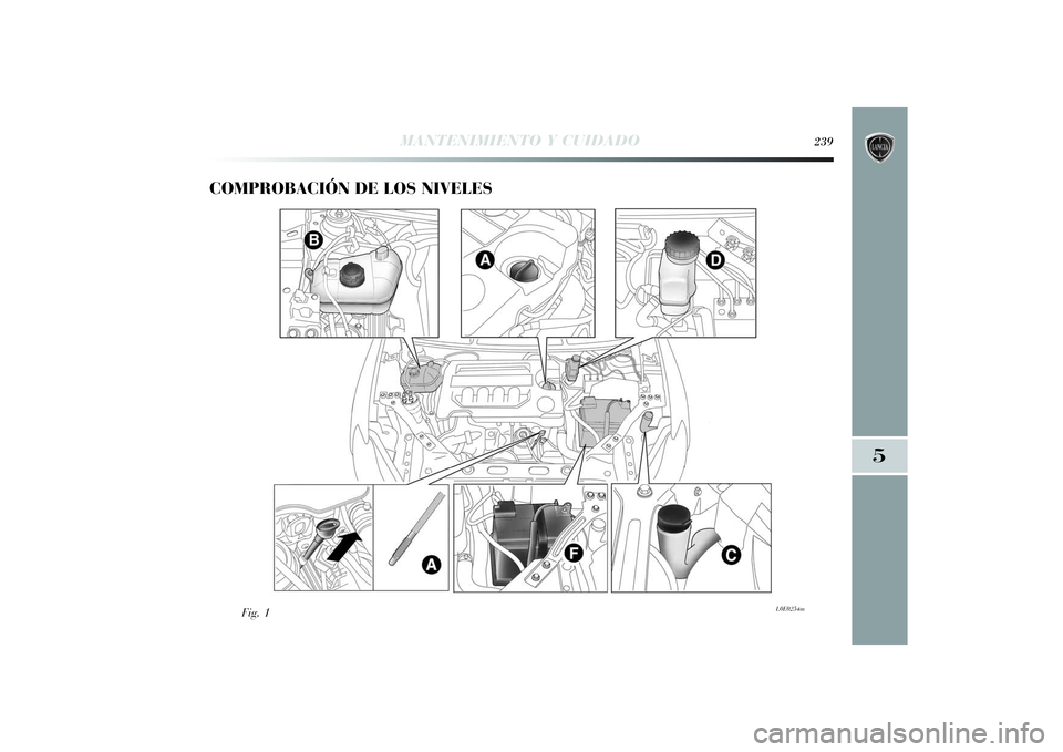 Lancia Delta 2014 Manual de Empleo y Cuidado (in Spanish) COMPROBACIÓN DE LOS NIVELES
Fig. 1
L0E0254m
MANTENIMIENTO Y CUIDADO
239
5
233-256 Delta ES 1ed 03/09/13 12.05 Pagina 239 Lancia Delta 2014 Manual de Empleo y Cuidado (in Spanish) COMPROBACIÓN DE LOS NIVELES
Fig. 1
L0E0254m
MANTENIMIENTO Y CUIDADO
239
5
233-256 Delta ES 1ed 03/09/13 12.05 Pagina 239