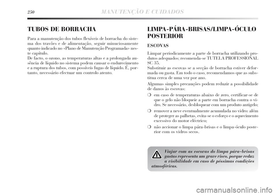 Lancia Delta 2013  Manual de Uso e Manutenção (in Portuguese) 250MANUTENÇÃO E CUIDADOS
TUBOS DE BORRACHA
Para a manutenção dos tubos flexíveis de borracha do siste-
ma dos travões e de alimentação, seguir minuciosamente
quanto indicado no «Plano de Manu