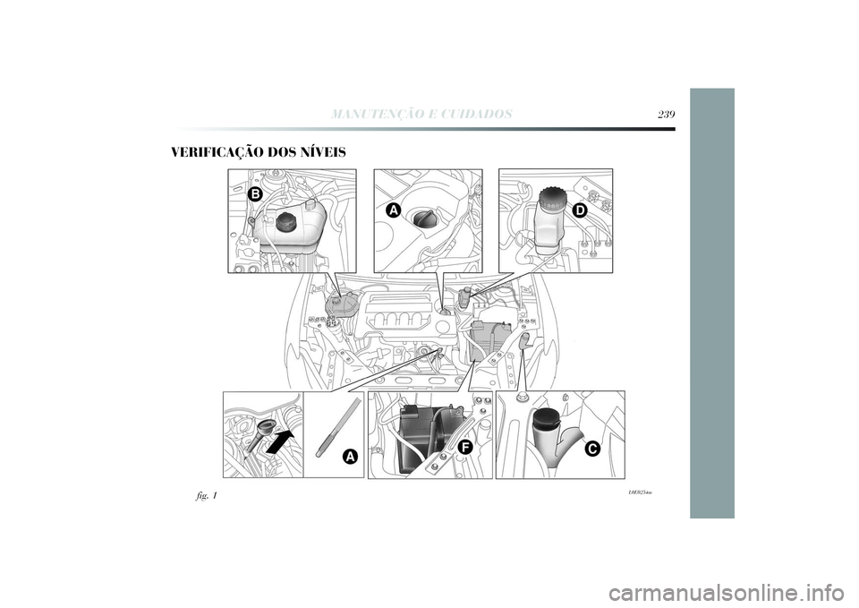 Lancia Delta 2014  Manual de Uso e Manutenção (in Portuguese) VERIFICAÇÃO DOS NÍVEIS 
fig. 1
L0E0254m
MANUTENÇÃO E CUIDADOS
239
233-256 Delta PT 1ed  03/09/13  14.04  Pagina 239 