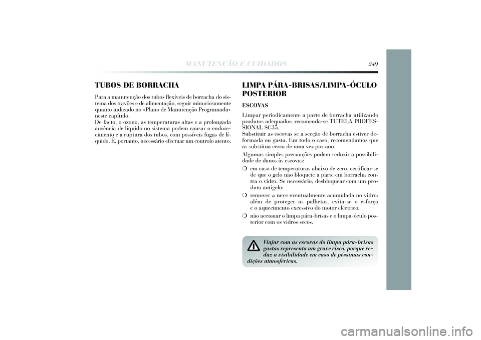 Lancia Delta 2014  Manual de Uso e Manutenção (in Portuguese) TUBOS DE BORRACHAPara a manutenção dos tubos flexíveis de borracha do sis-
tema dos travões e de alimentação, seguir minuciosamente
quanto indicado no «Plano de Manutenção Programada»
neste 