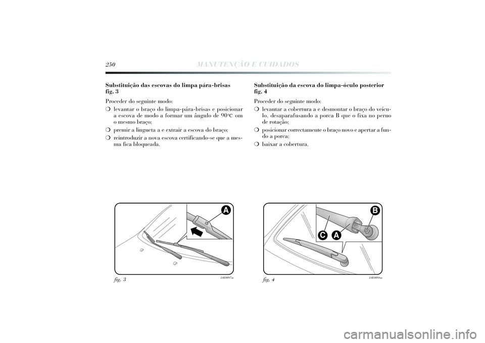 Lancia Delta 2014  Manual de Uso e Manutenção (in Portuguese) 250
MANUTENÇÃO E CUIDADOS
Substituição das escovas do limpa pára-brisas 
fig. 3
Proceder do seguinte modo: 
❍levantar o braço do limpa-pára-brisas e posicionar 
a escova de modo a formar um 