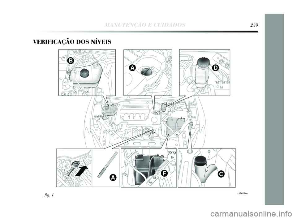 Lancia Delta 2015 Manual de Uso e Manutenção (in Portuguese) VERIFICAÇÃO DOS NÍVEIS
fig. 1L0E0254m
MANUTENÇÃO E CUIDADOS239
233-256 Delta PT 1ed 03/04/14 14:50 Pagina 239 Lancia Delta 2015 Manual de Uso e Manutenção (in Portuguese) VERIFICAÇÃO DOS NÍVEIS
fig. 1L0E0254m
MANUTENÇÃO E CUIDADOS239
233-256 Delta PT 1ed 03/04/14 14:50 Pagina 239