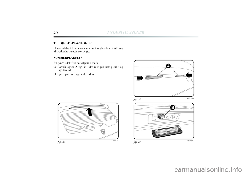 Lancia Delta 2014  Brugs- og vedligeholdelsesvejledning (in Danish) 218
I NØDSITUATIONER
TREDJE STOPLYGTE fig. 23
Henvend dig til Lancias servicenet angående udskiftning
af lysdioder i tredje stoplygte.
NUMMERPLADELYS
En pære udskiftes på følgende måde:
❍Påvi