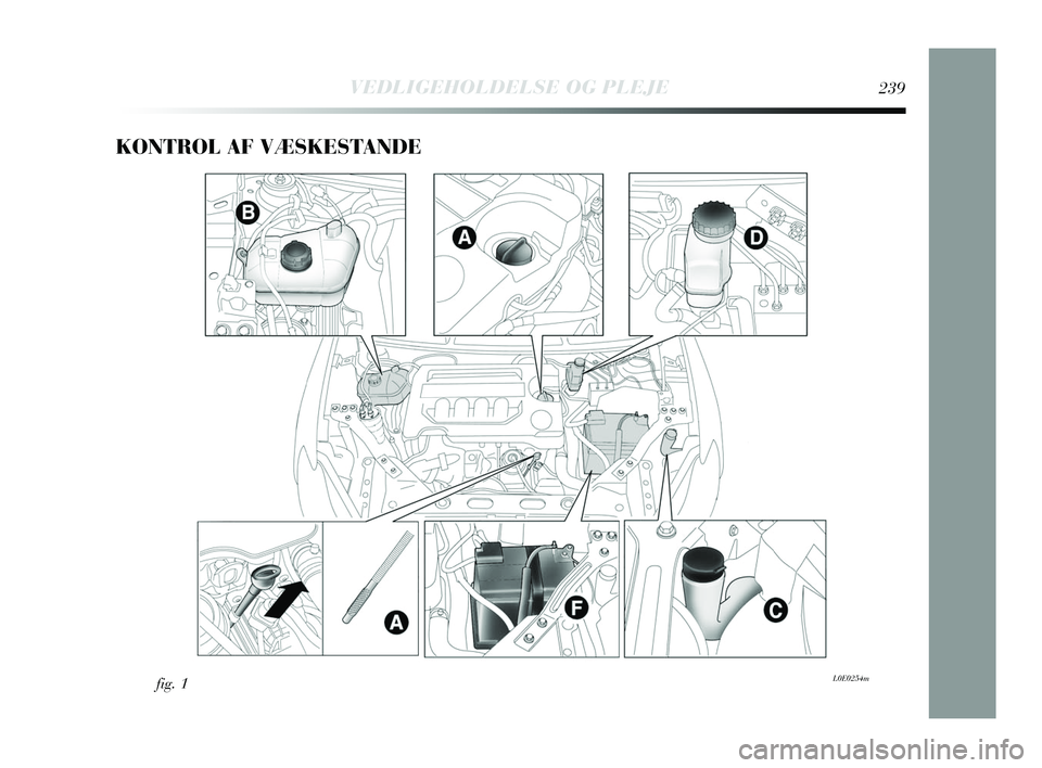 Lancia Delta 2015 Brugs- og vedligeholdelsesvejledning (in Danish) KONTROL AF VÆSKESTANDE
fig. 1L0E0254m
VEDLIGEHOLDELSE OG PLEJE239
233-256 Delta 2ed DA 07/04/14 11:26 Pagina 239 Lancia Delta 2015 Brugs- og vedligeholdelsesvejledning (in Danish) KONTROL AF VÆSKESTANDE
fig. 1L0E0254m
VEDLIGEHOLDELSE OG PLEJE239
233-256 Delta 2ed DA 07/04/14 11:26 Pagina 239