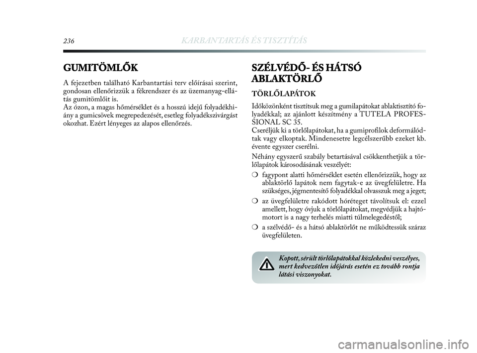 Lancia Delta 2010  Kezelési és karbantartási útmutató (in Hungarian) 236KARBANTARTÁS ÉS TISZTÍTÁS
GUMITÖMLŐK
A fejezetben található Karbantartási terv előírásai szerint,
gondosan ellenőrizzük a fékrendszer és az üzemanyag-ellá-
tás gumitömlőit is.
