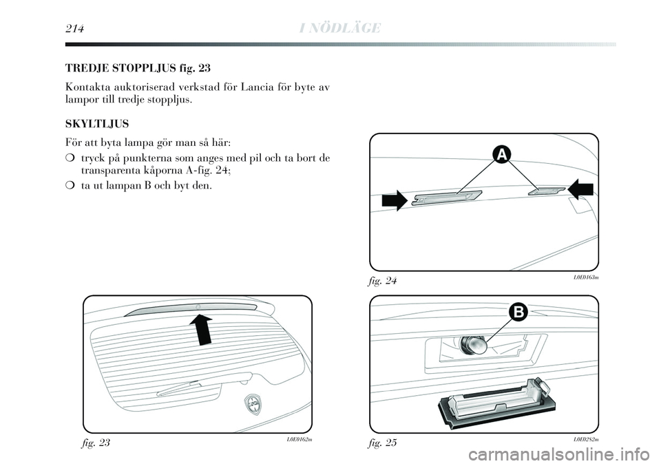 Lancia Delta 2012  Drift- och underhållshandbok (in Swedish) 214I NÖDLÄGE
TREDJE STOPPLJUS fig. 23
Kontakta auktoriserad verkstad för Lancia för byte av
lampor till tredje stoppljus.
SKYLTLJUS
För att byta lampa gör man så här:
❍tryck på punkterna so