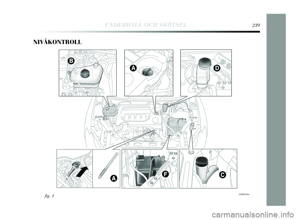 Lancia Delta 2015  Drift- och underhållshandbok (in Swedish) NIVÅKONTROLL 
fig. 1L0E0254m
UNDERHÅLL OCH SKÖTSEL239
233-256 Delta SV 1ed  07/04/14  12:12  Pagina 239 