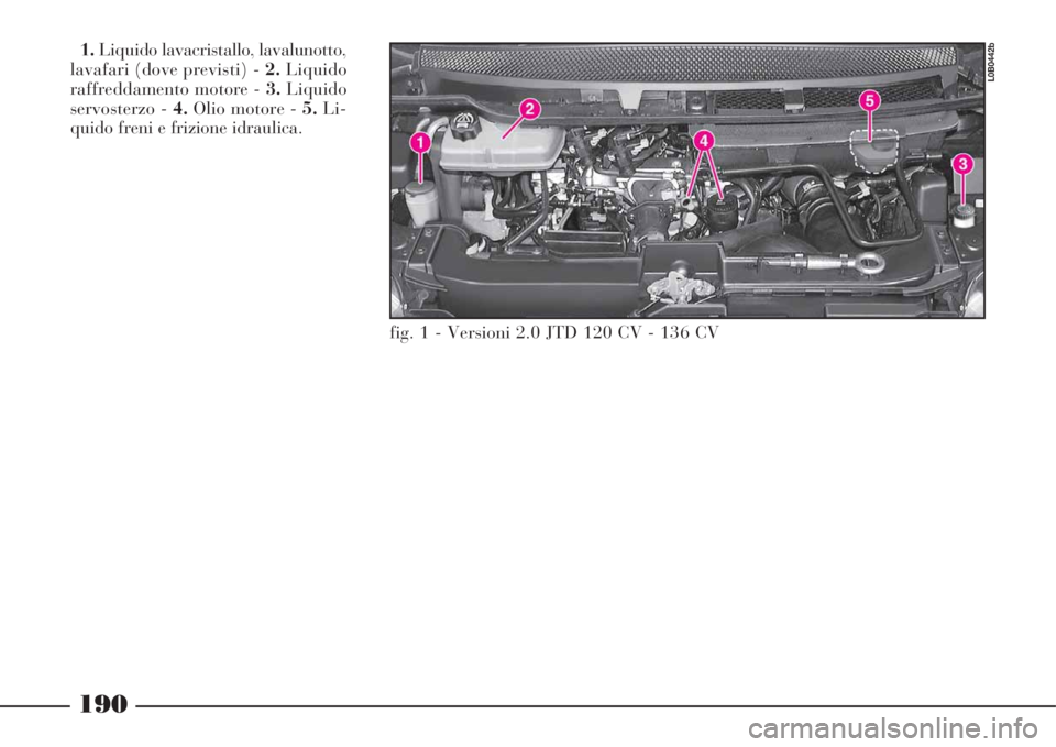 Lancia Phedra 2008  Libretto Uso Manutenzione (in Italian) 190
1.Liquido lavacristallo, lavalunotto,
lavafari (dove previsti) - 2.Liquido
raffreddamento motore - 3.Liquido
servosterzo - 4.Olio motore - 5.Li-
quido freni e frizione idraulica.
L0B0442b
fig. 1 -