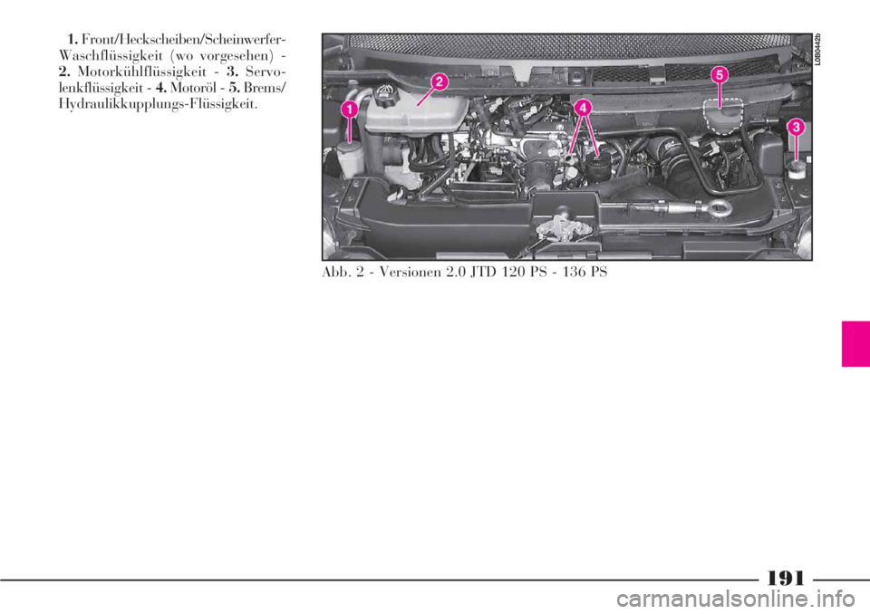 Lancia Phedra 2006  Betriebsanleitung (in German) 191
1.Front/Heckscheiben/Scheinwerfer-
Waschflüssigkeit (wo vorgesehen) -
2.Motorkühlflüssigkeit - 3.Servo-
lenkflüssigkeit - 4.Motoröl - 5.Brems/
Hydraulikkupplungs-Flüssigkeit.
Abb. 2 - Versio