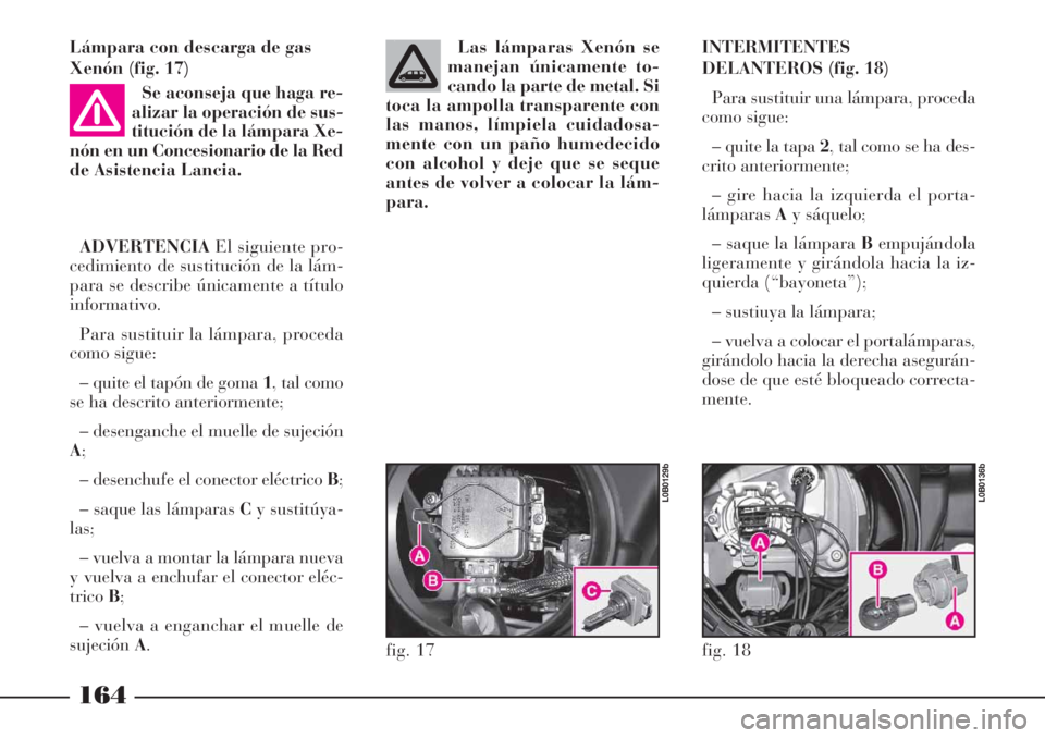Lancia Phedra 2006  Manual de Empleo y Cuidado (in Spanish) Lámpara con descarga de gas
Xenón (fig. 17)
Se aconseja que haga re-
alizar la operación de sus-
titución de la lámpara Xe-
nón en un Concesionario de la Red
de Asistencia Lancia.
ADVERTENCIAEl 