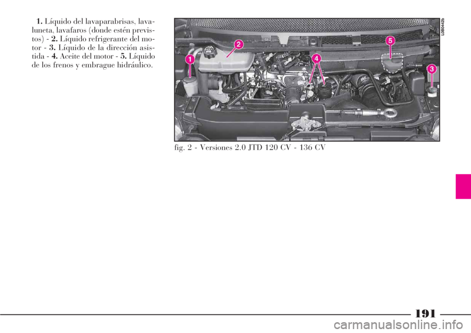 Lancia Phedra 2006  Manual de Empleo y Cuidado (in Spanish) 191
1.Líquido del lavaparabrisas, lava-
luneta, lavafaros (donde estén previs-
tos) - 2.Líquido refrigerante del mo-
tor - 3.Líquido de la dirección asis-
tida - 4.Aceite del motor - 5.Líquido
d