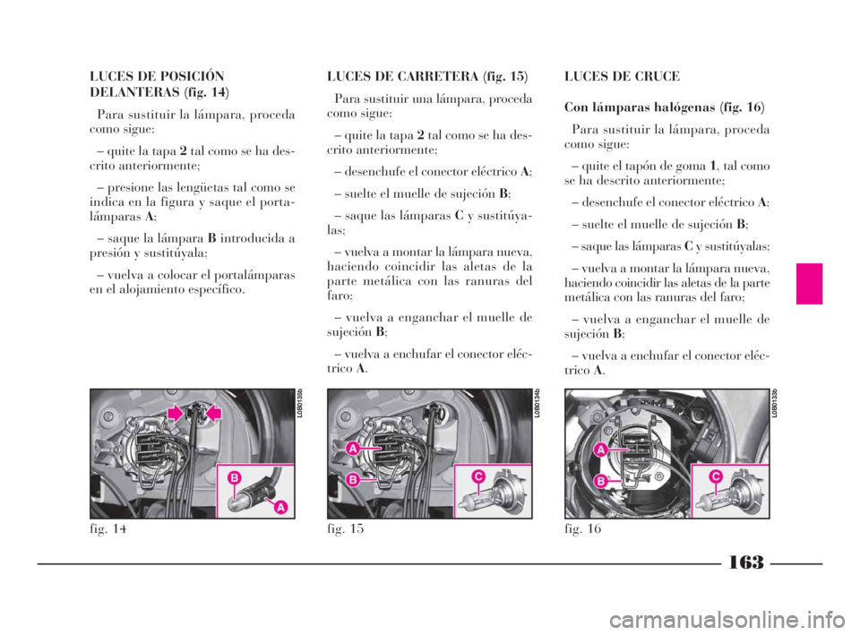 Lancia Phedra 2010  Manual de Empleo y Cuidado (in Spanish) 163
LUCES DE POSICIÓN
DELANTERAS (fig. 14)
Para sustituir la lámpara, proceda
como sigue:
– quite la tapa 2tal como se ha des-
crito anteriormente;
– presione las lengüetas tal como se
indica e