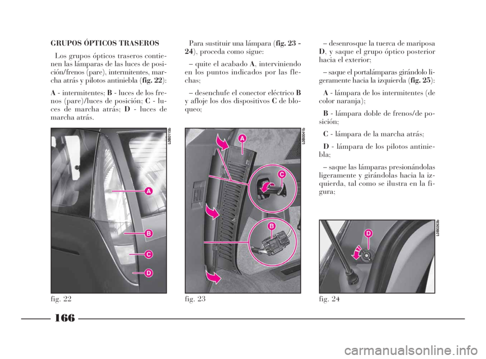 Lancia Phedra 2010  Manual de Empleo y Cuidado (in Spanish) GRUPOS ÓPTICOS TRASEROS
Los grupos ópticos traseros contie-
nen las lámparas de las luces de posi-
ción/frenos (pare), intermitentes, mar-
cha atrás y pilotos antiniebla (fig. 22):
A- intermitent