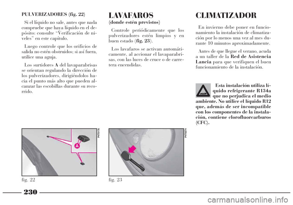 Lancia Lybra 2005  Manual de Empleo y Cuidado (in Spanish) 230
fig. 22
P4T0176
Esta instalación utiliza lí-
quido refrigerante R134a
que no perjudica el medio
ambiente. No utilice el líquido R12
que, además de ser incompatible
con los componentes de la in