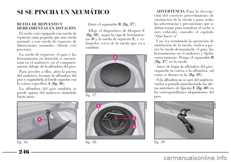 Lancia Lybra 2005  Manual de Empleo y Cuidado (in Spanish) 246
RUEDA DE REPUESTO Y
HERRAMIENTAS EN DOTACIÓN
El coche está equipado con rueda de
repuesto (más pequeña que una rueda
normal) o con rueda de repuesto de
dimensiones normales (donde esté
previs