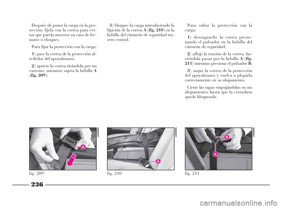 Lancia Thesis 2009  Manual de Empleo y Cuidado (in Spanish) 236
fig. 211
L0A0094b
Después de poner la carga en la pro-
tección, fíjela con la correa para evi-
tar que pueda moverse en caso de fre-
nazos o choques.
Para fijar la protección con la carga:
1) 