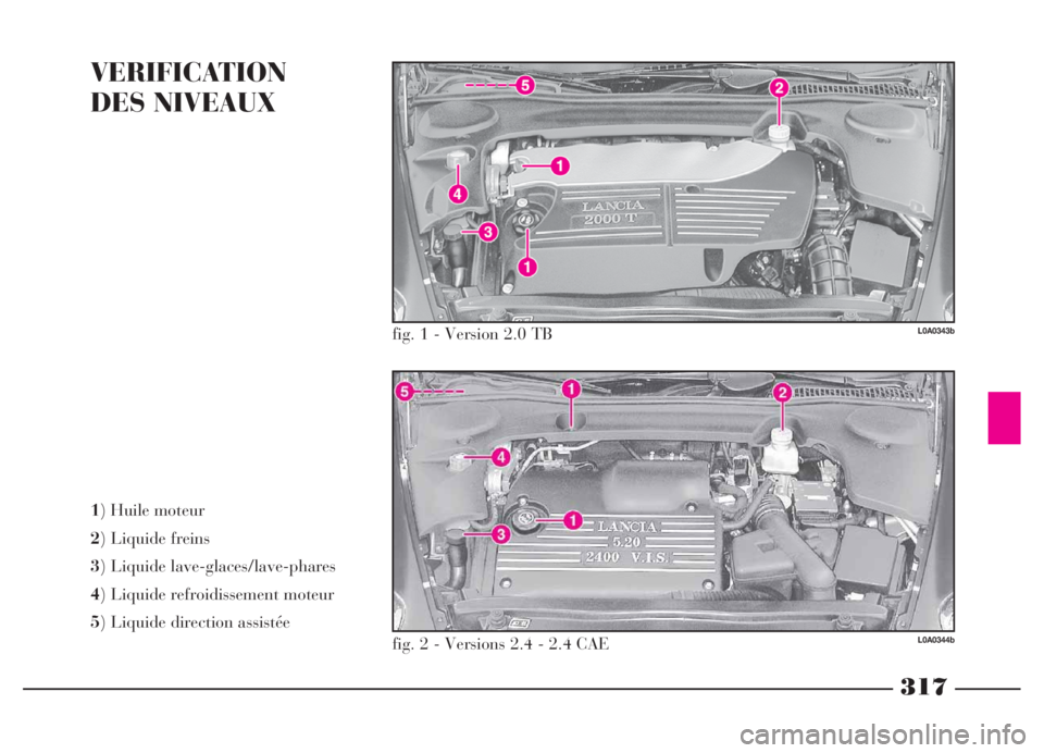 Lancia Thesis 2006  Notice dentretien (in French) 317
VERIFICATION 
DES NIVEAUX
1) Huile moteur 
2) Liquide freins 
3) Liquide lave-glaces/lave-phares 
4) Liquide refroidissement moteur 
5) Liquide direction assistée
L0A0343b
L0A0344b
fig. 1 - Versi